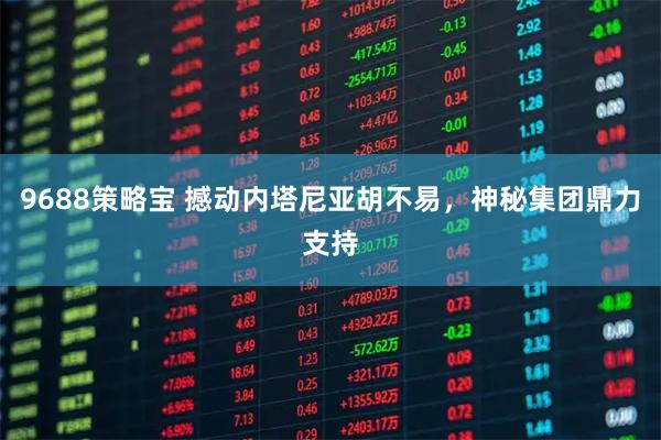 9688策略宝 撼动内塔尼亚胡不易,神秘集团鼎力支持
